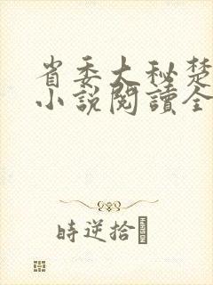 省委大秘楚东恒小说阅读全文封面