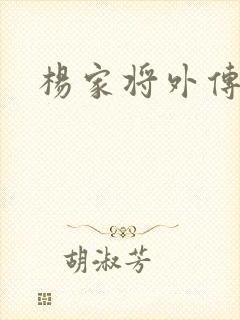 杨家将外传