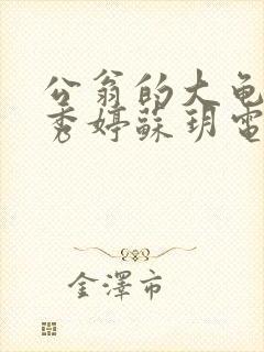 公翁的大龟挺进秀婷苏玥电影