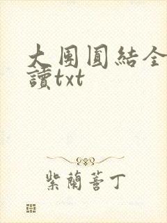 大团圆结全文阅读txt