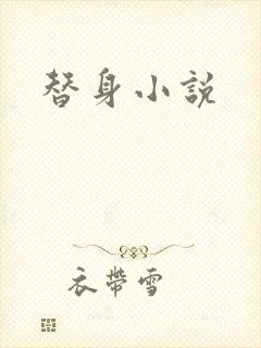 替身小说封面