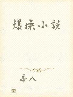 爆操小说