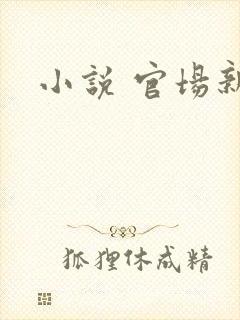 小说 官场新贵