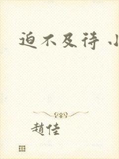 迫不及待 小穴