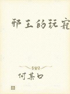 邪王的玩宠