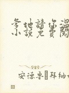 爹地请你温柔点小说免费阅读