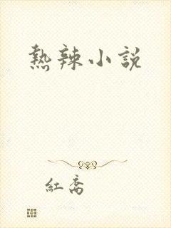 热辣小说封面