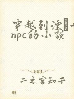 穿越到湮婸世界npc的小说