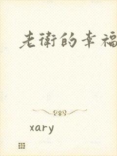 老卫的幸福生活封面