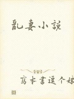乱妻小说
