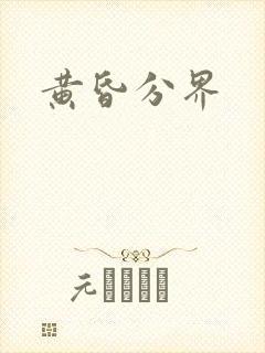 黄昏分界封面