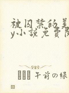 被囚禁的美人by小说免费阅读封面