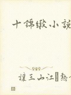 十锦缎小说