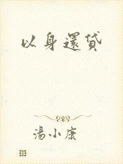 以身还贷封面