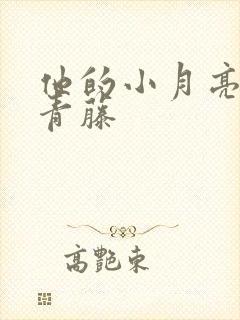 他的小月亮by青藤封面