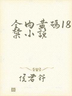 全肉黄码18无禁小说
