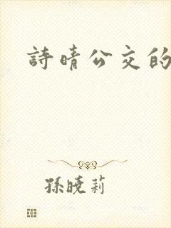 诗晴公交的小说封面