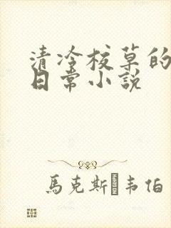 清冷校草的堕落日常小说