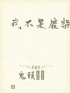 我不是废柴