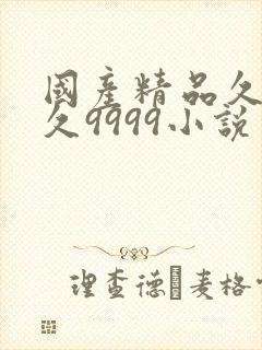 国产精品久久久久9999小说