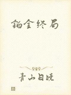 铂金终局封面