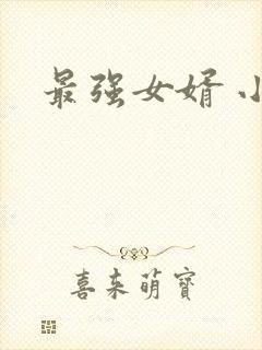 最强女婿 小说
