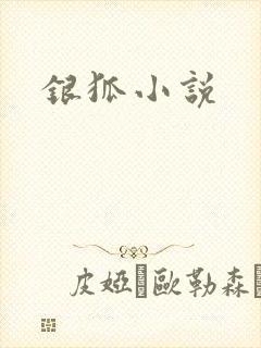 银狐小说