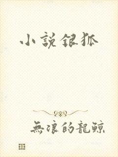 小说银狐封面