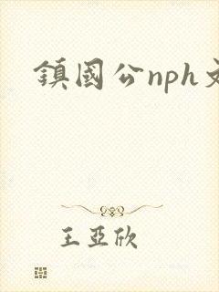 镇国公nph文封面