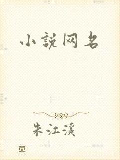 小说网名