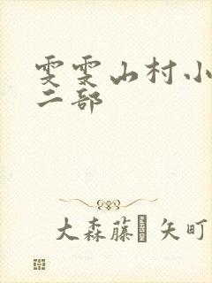 雯雯山村小说第二部封面