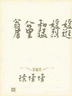 翁公和媛媛在厨房里猛烈进出