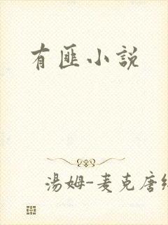 有匪小说