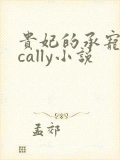 贵妃的承宠日常cally小说封面
