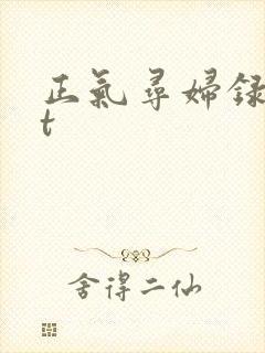 正气寻妇录txt