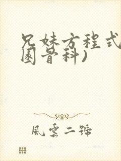 兄妹方程式(校园骨科)
