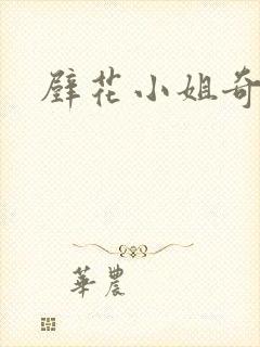 壁花小姐奇遇记