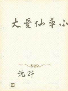 大爱仙尊小说封面