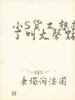 小S货又想挨C了叫大声点小