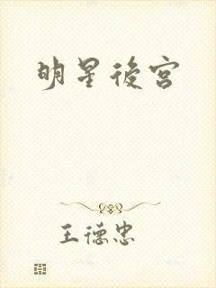 明星后宫