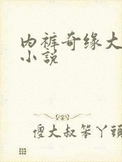 内裤奇缘大团结小说