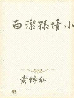 白洁孙倩小说封面