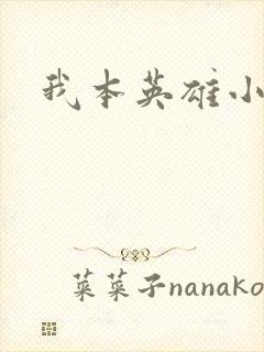 我本英雄小说