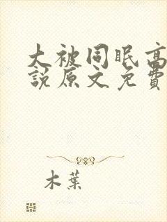 大被同眠高粱小说原文免费阅读