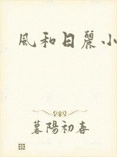 风和日丽小说