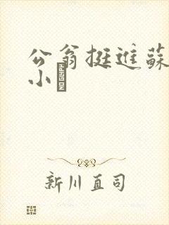 公翁挺进苏玥的小泬