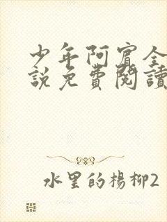 少年阿宾全文小说免费阅读笔趣阁