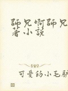 师兄啊师兄的原著小说
