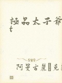 极品太子爷txt封面