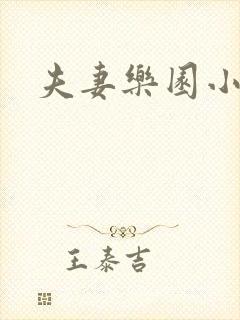 夫妻乐园小说